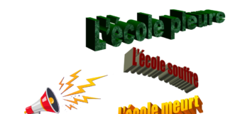 Le hold-up silencieux: comment le Cameroun subventionne les écoles du Nord en sacrifiant ses enfants.